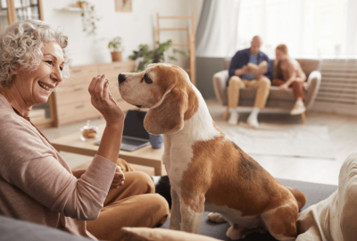 A Alegria de Ter um Pet: Como os Animais Contribuem para um Lar Feliz