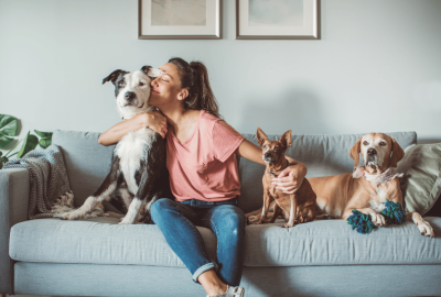 Paz de Espírito Pelos Pelos: Como os Pets Podem Reduzir o Estresse e a Ansiedade