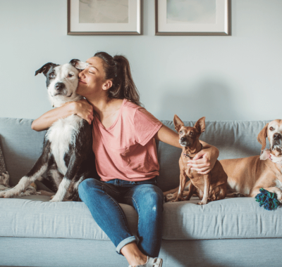 Paz de Espírito Pelos Pelos: Como os Pets Podem Reduzir o Estresse e a Ansiedade