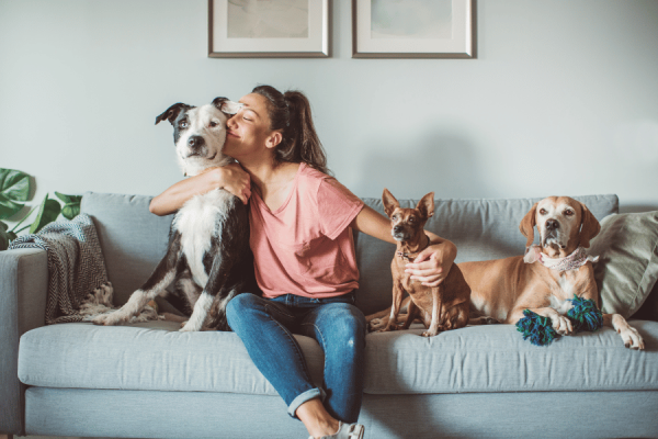 Paz de Espírito Pelos Pelos: Como os Pets Podem Reduzir o Estresse e a Ansiedade