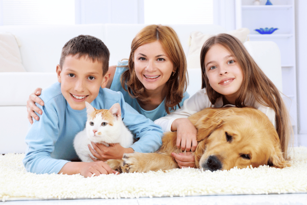 Peludos e Protetores: Como a Presença dos Pets no Lar Beneficia a Saúde Mental e Emocional